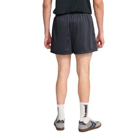 Hummel Pulse Mesh Shorts (Herr)