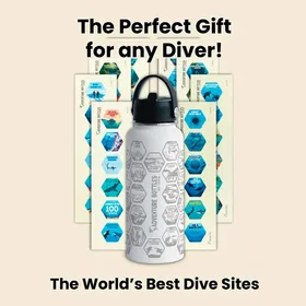 Awesome Maps Adventure Dive+stickers Bouteille 1.0L