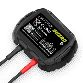 IntAct Electronic BATTERY-GUARD 12V