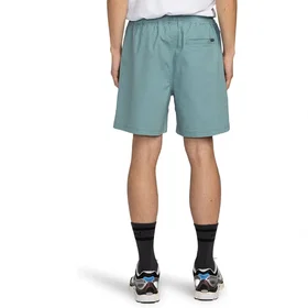 Element Chillin Classic Walkshorts 17" (Men's)