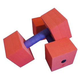 Leisis Square Dumbbell