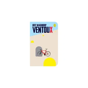 Stevens Ventoux Custom