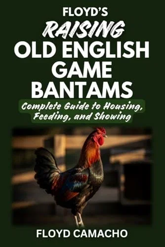 Floyd’s Raising Old English Game Bantams: Complete Guide to Housing Feeding Showing Paperback