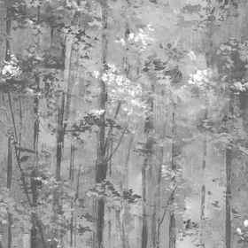 Carma Glade Jet NW Aurora