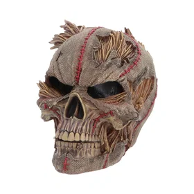 Nemesis Now Hall Of Horrors Scarecrow Skull