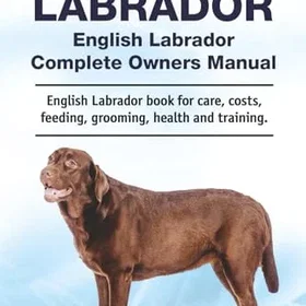 Zoodoo Publishing English Labrador