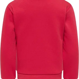 Only Kmgthilda LS REG Oneck Sweatshirt (Jr)