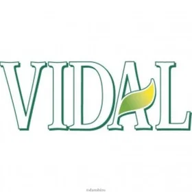 Vidal Shower Gel Citrus Trä