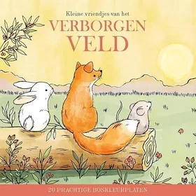 Lantaarn Kleine Vriendjes Van Het Verborgen Veld Färgläggningsbok