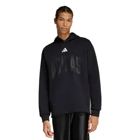 Adidas Stadium Graphic Hoodie (Herr)