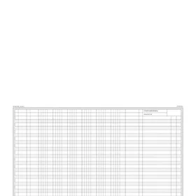 Mayland Kasserapport A6 2x50 ark med 1 kopi