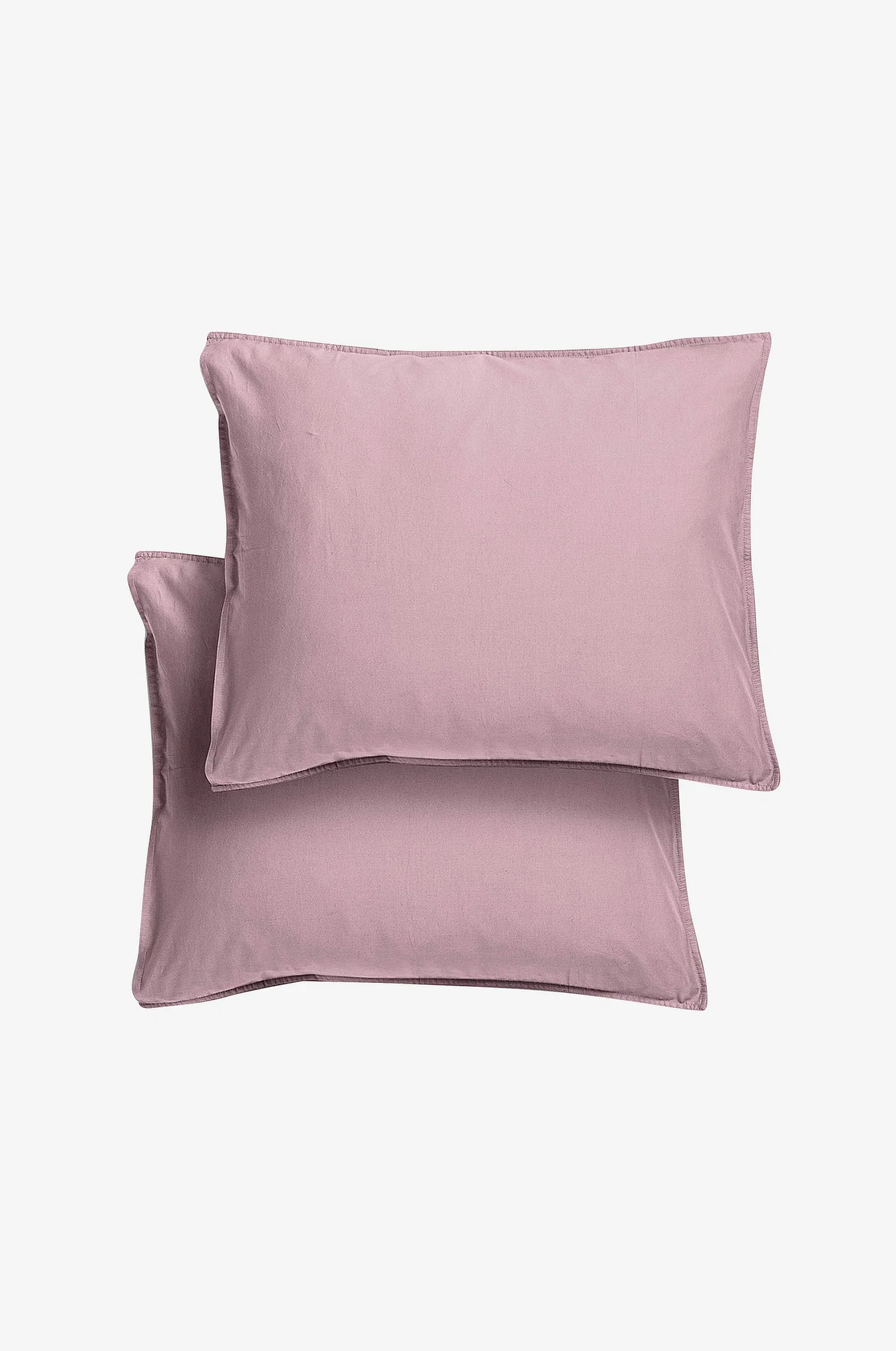 Midnatt Aster Cotton Lilac 50x60cm 2-pack