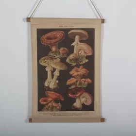 Tusent Poster