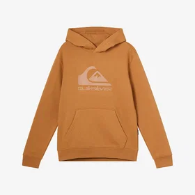 Quiksilver Comp Logo Hoodie (Jr)