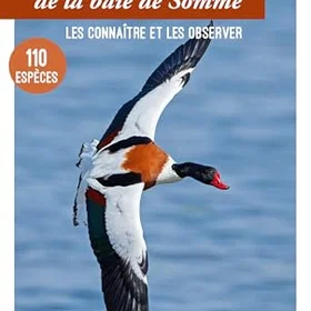 Sud Guide des oiseaux de la baie de Somme