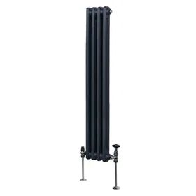 MonsterShop Traditional 2 Column Radiator 1500x202mm