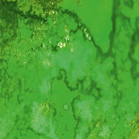 Dirty Down Moss Effect Paint Moss Effect 0.25L