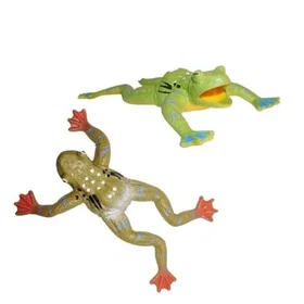Pocket Money Stretchy Frog spiralfjeder