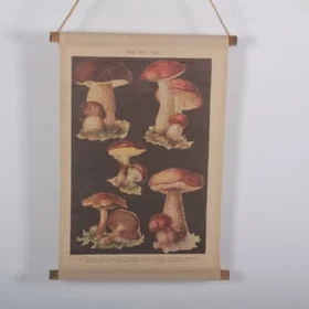 Tusent Svamp Posters