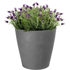 GARDEN ID Swing Cone