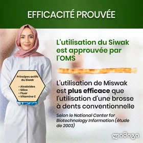 Orinko Siwak Sticks 4 st
