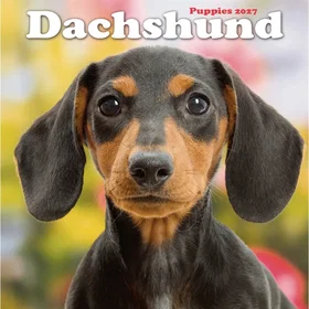 Carousel Dachshund Puppies Mini Calendar 2027