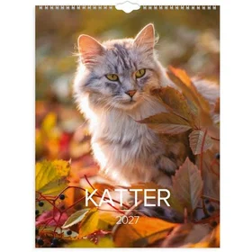 Grieg Cats Wall Calendar 2027