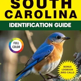 Birds Identifieringsguide