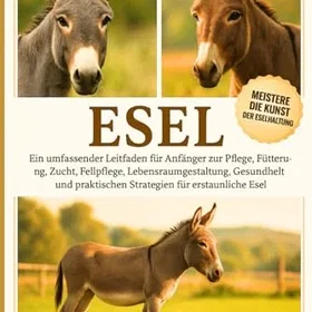 ESEL Guide för nybörjare