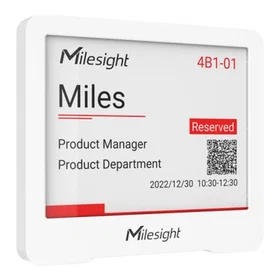 Milesight IoT DS3604 4.2" 400x300 (DS3604-868M)