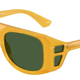 Dolce & Gabbana DG6208