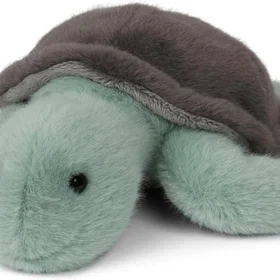 Wilberry Turtle
