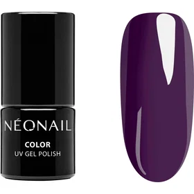 NeoNail Starter Set Color Favorites