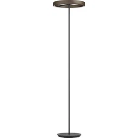 Stars of Light Trabuco (1750mm x 420mm)