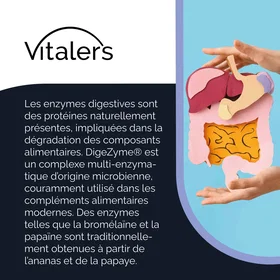 Vitalers Enzymes Digestives 60 Capsules