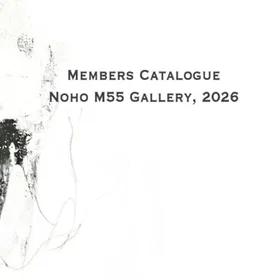Nohoo M55 Gallery
