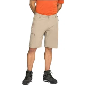 Viking Sumatra Hiking Shorts (Men's)