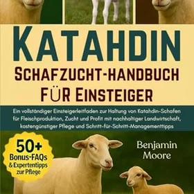 Katahdin Sheep Husbandry Guide for Beginners