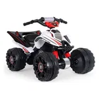 Injusa Kawasaki ATV Quad 12V