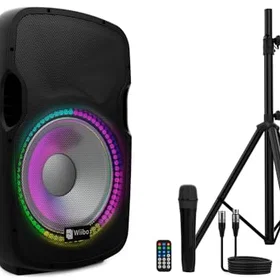WIIBO ACOUSTICS Festa 15BT