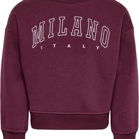Only Kmgsweat LS Crew OSZ Stat Sweatshirt (Unisex)