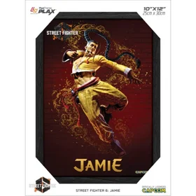 Pixel Frames Bilderamme Plax Street Fighter 6 Jamie 10"X12"