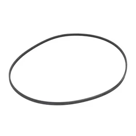 CONTITECH 3PJ891 Ceinture