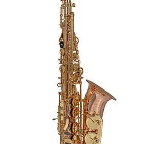 Roy Benson AS-202G Alto Sax
