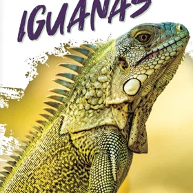 Coloring Book Reptile Realm : Thrilling for adults featuring lizards, geckos, ig