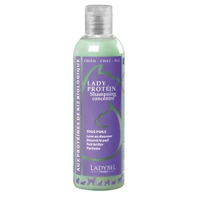 Ladybel Lady Protein Schampo