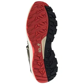Jack Wolfskin Wild Hike Texapore Low (Herr)