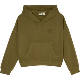 Roxy Rg Hoodie (Dam)