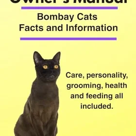 Zoodoo Publishing Bombay Cat Owner’s Manual