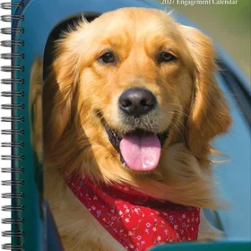 Wlcp What Goldens Teach Us Engagement Kalender 2027
